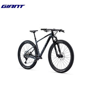 Giant Mountain Bike XTC Advanced 29 1