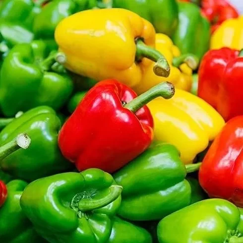 fresh fresh peppers picked from their own garden (FREE/BONUS 1 PCS) READ THE DESCRIPTION BEFORE CHEKOUT